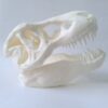 BIG wall mounted T-REX skull - Image 2