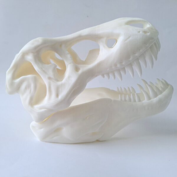 BIG wall mounted T-REX skull - Image 2