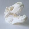 BIG wall mounted T-REX skull