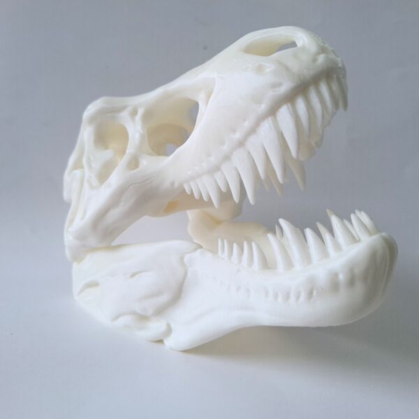 BIG wall mounted T-REX skull